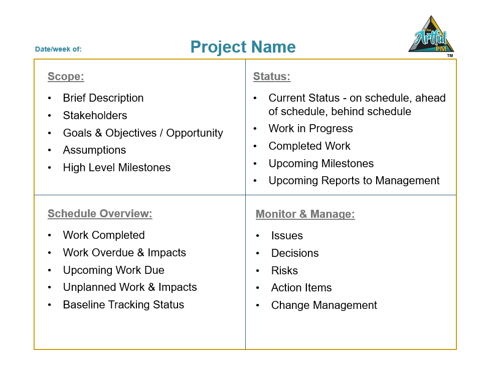 A project management plan with multiple tasks and milestones.